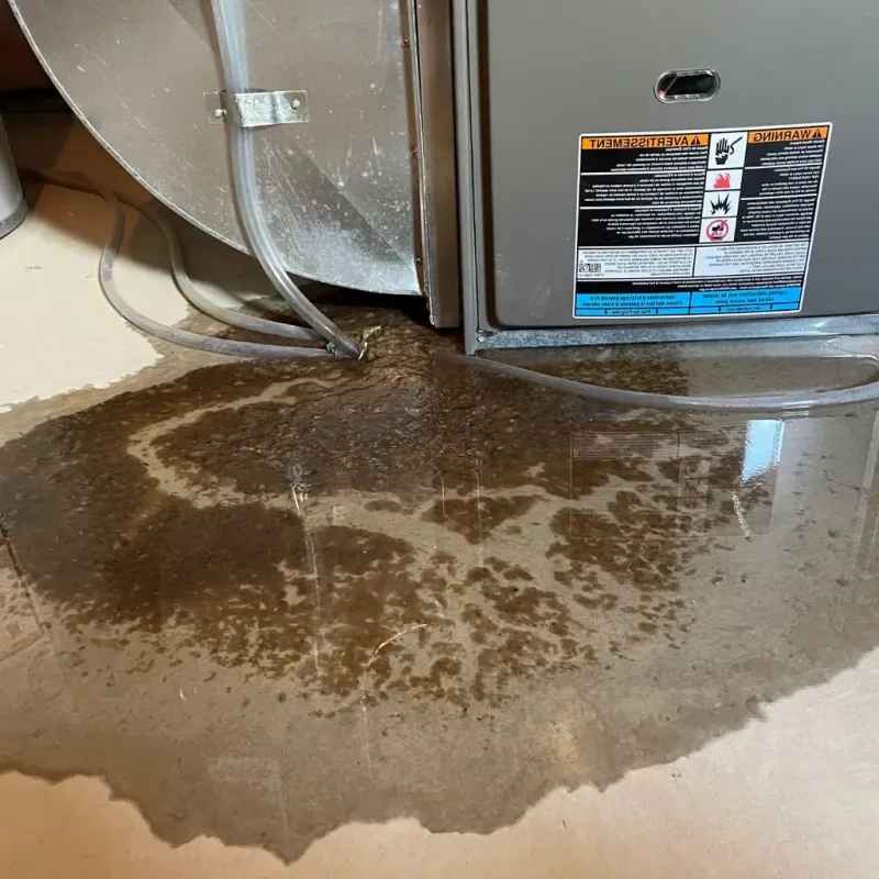 Pipe Burst and Leak Restoration in Bergen Beach, NY